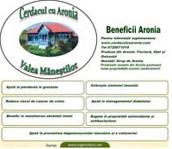 Beneficii Aronia